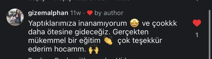 @gizemalphan Instagram yorumu