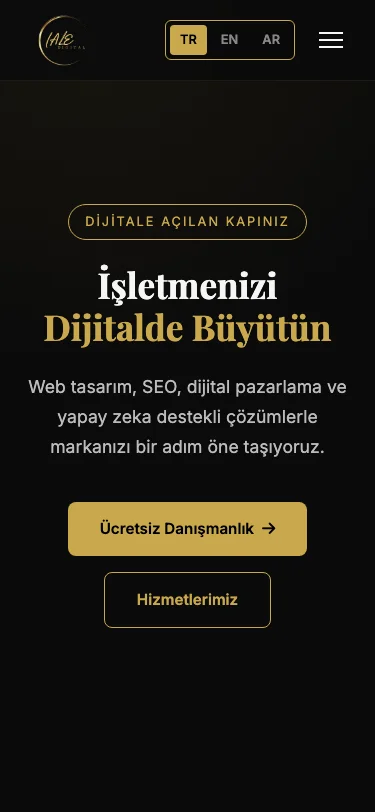 Lale Tanrıyakul — project screenshot